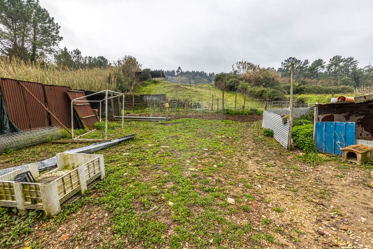 listing-picture-0