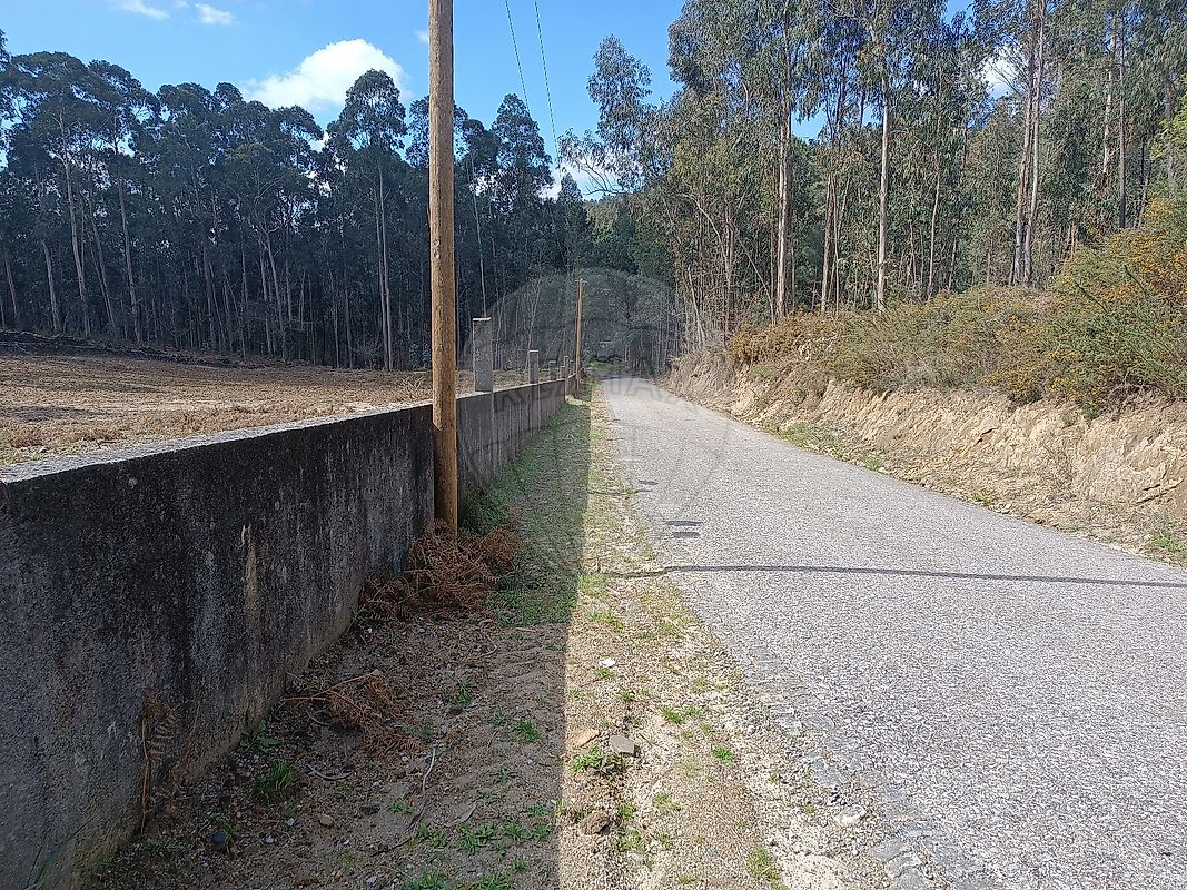 Terreno  para venda