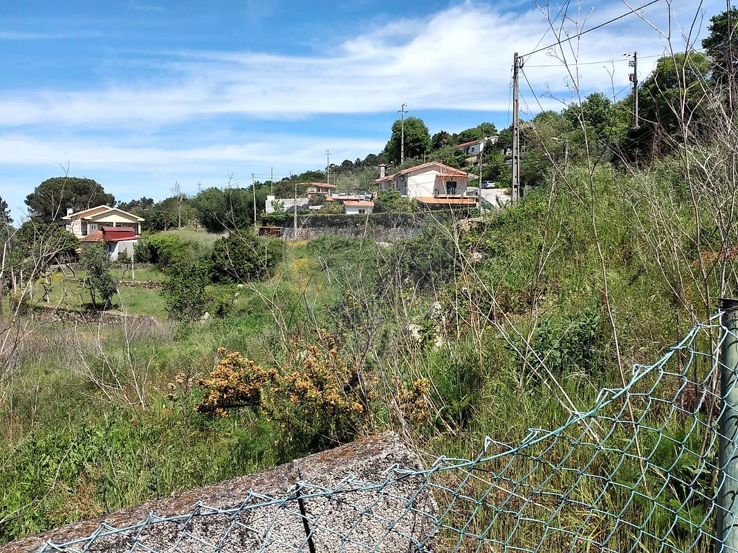 Terreno  para venda