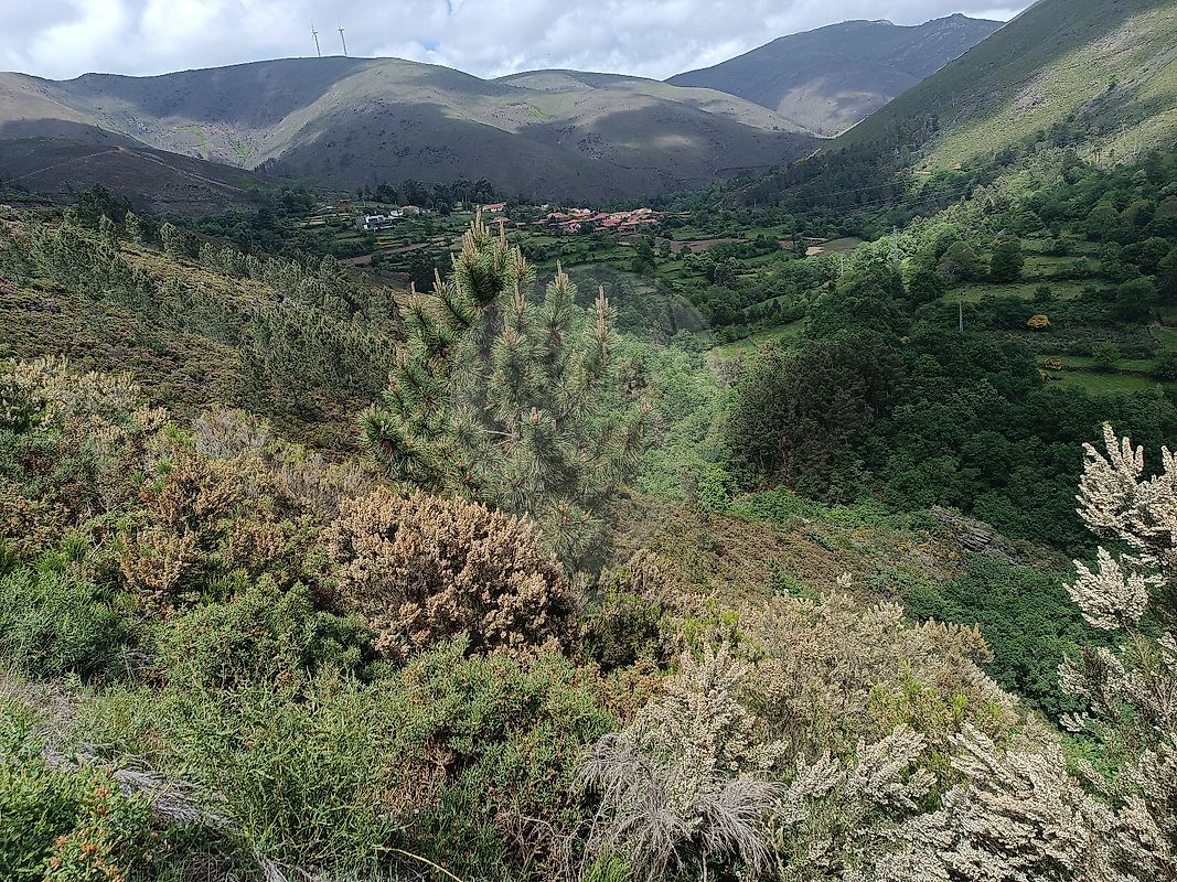 Terreno  à venda em Baião