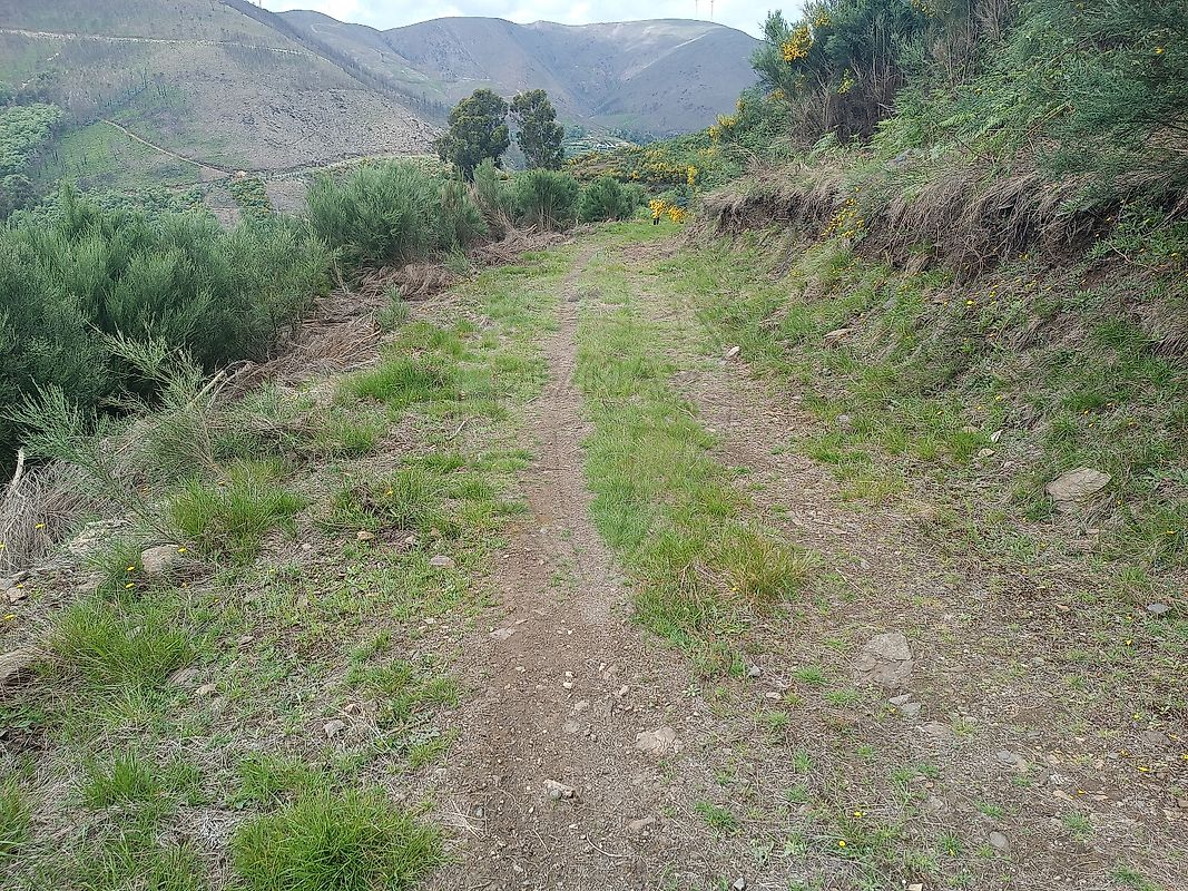Terreno  à venda em Baião