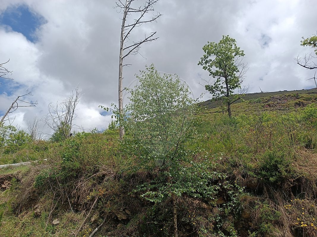 Terreno  à venda em Baião