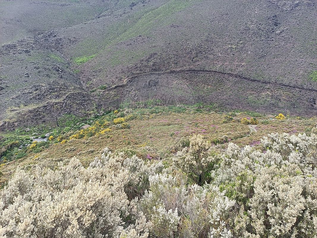 Terreno  à venda em Baião