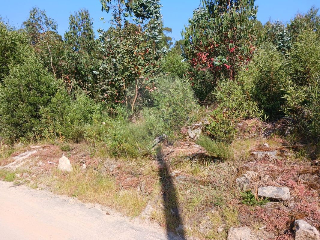 Terreno  para venda