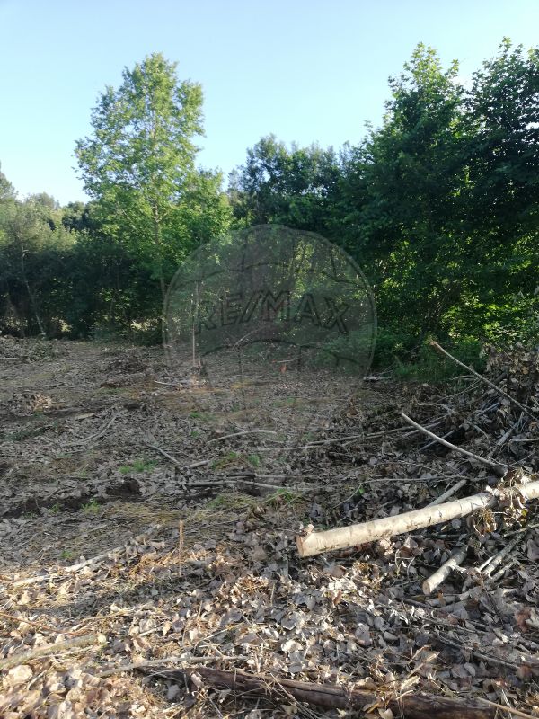 Terreno  para venda