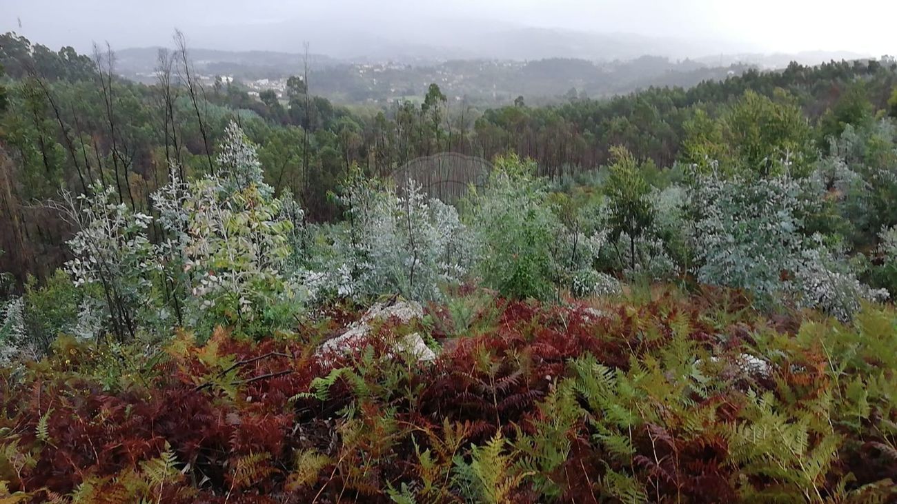 Terreno  para venda