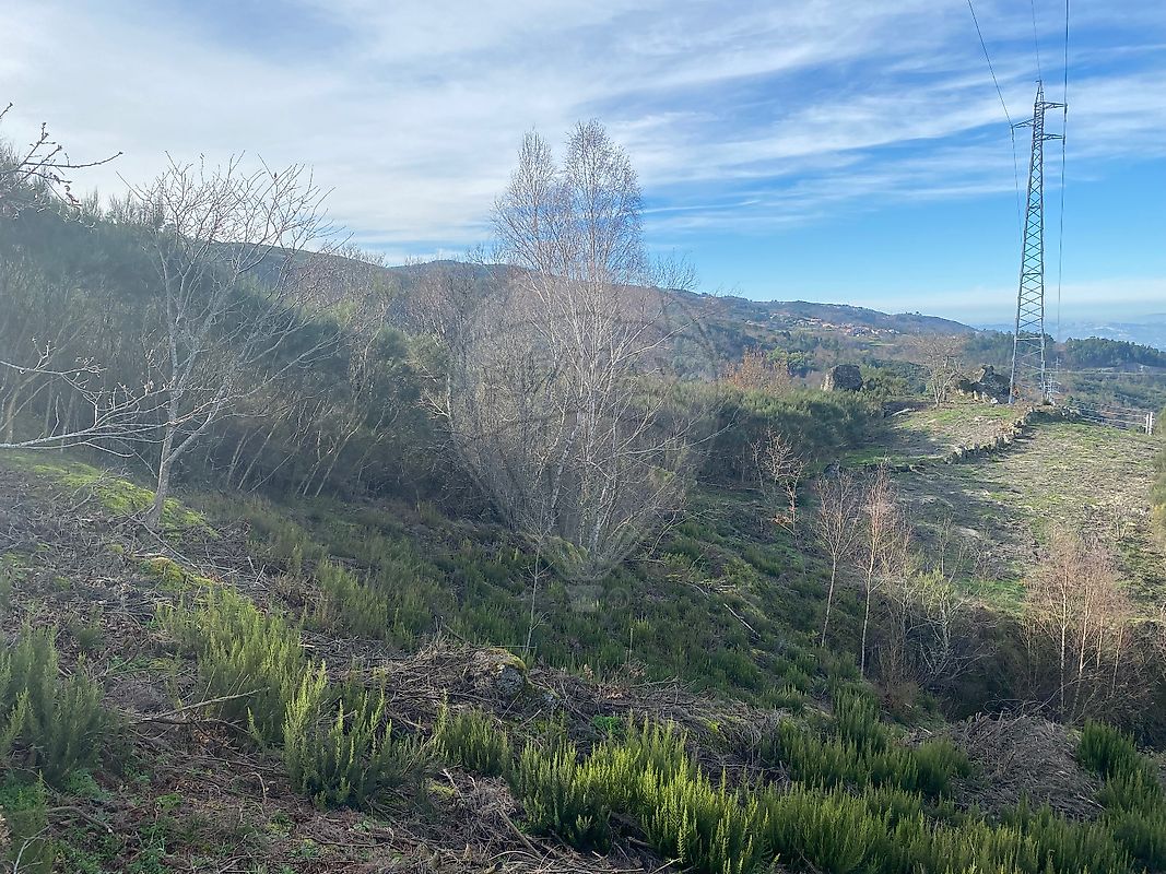 Terreno  à venda em Amarante