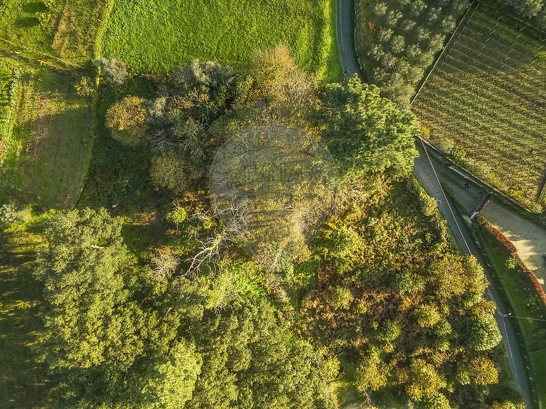Terreno para venda