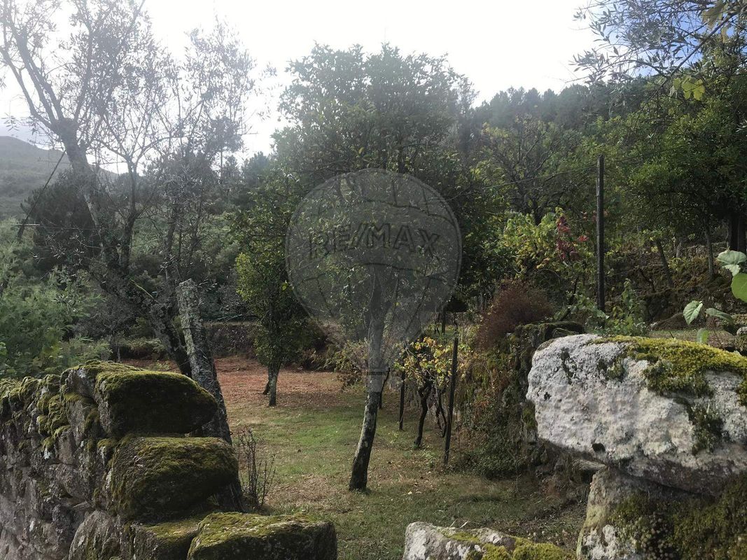 TODO
