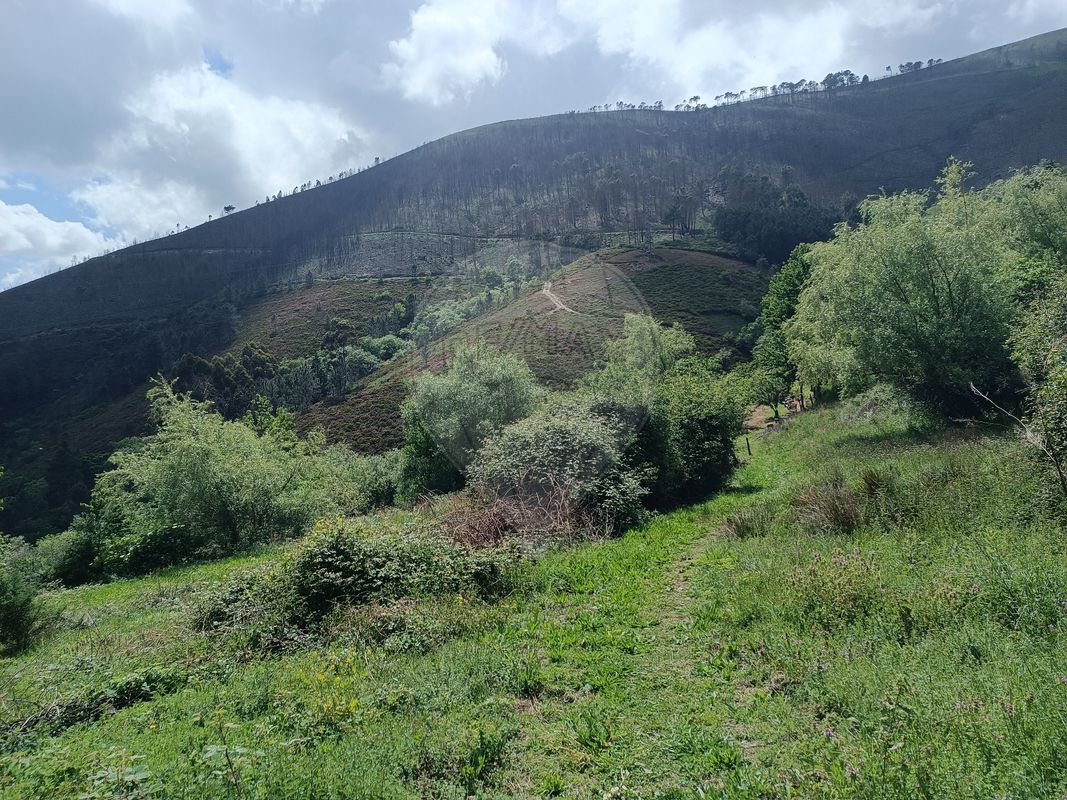 TODO