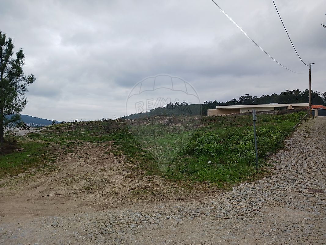 Imagem detalhe 1