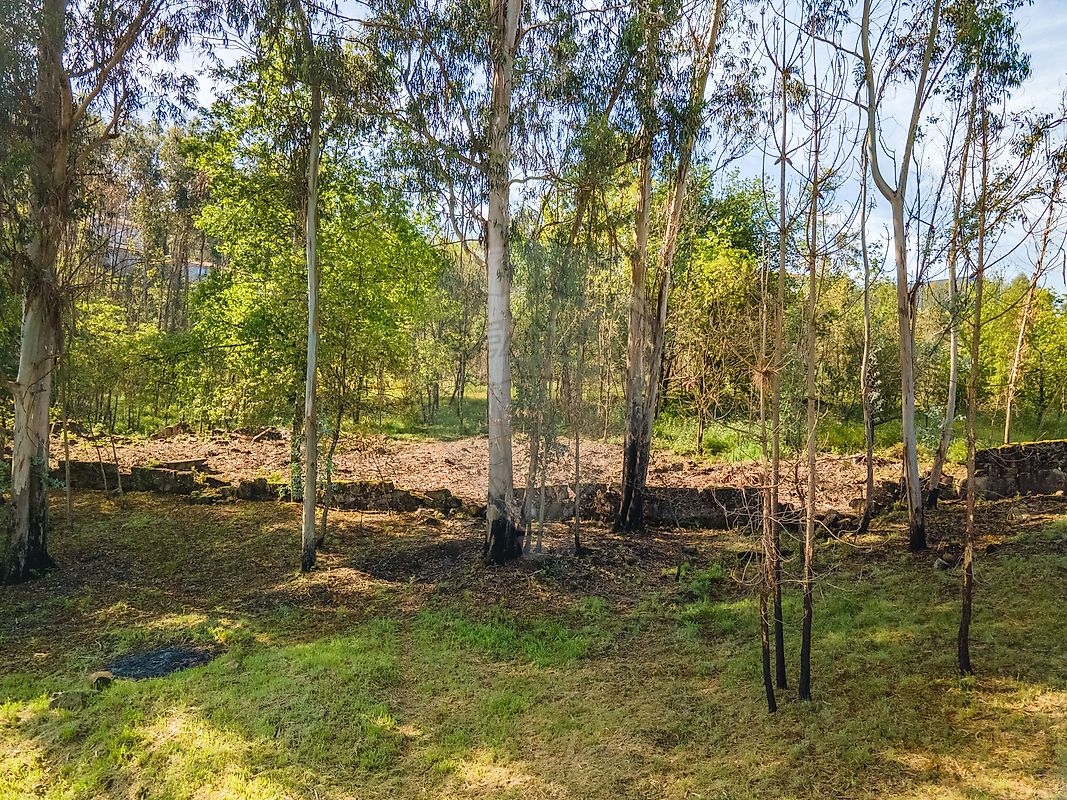 Terreno para venda