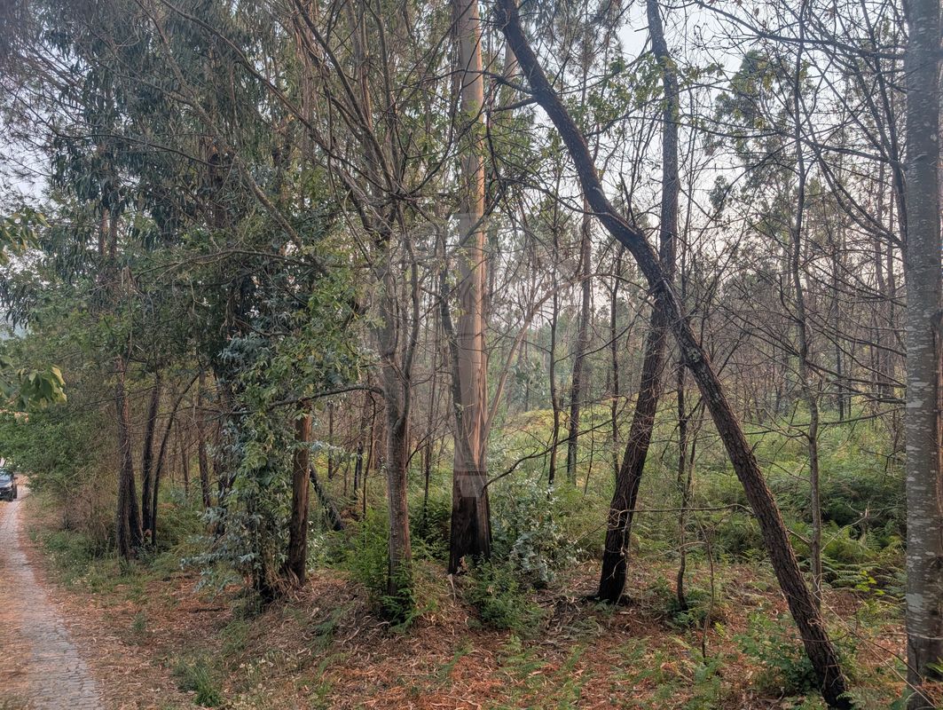 Terreno para venda