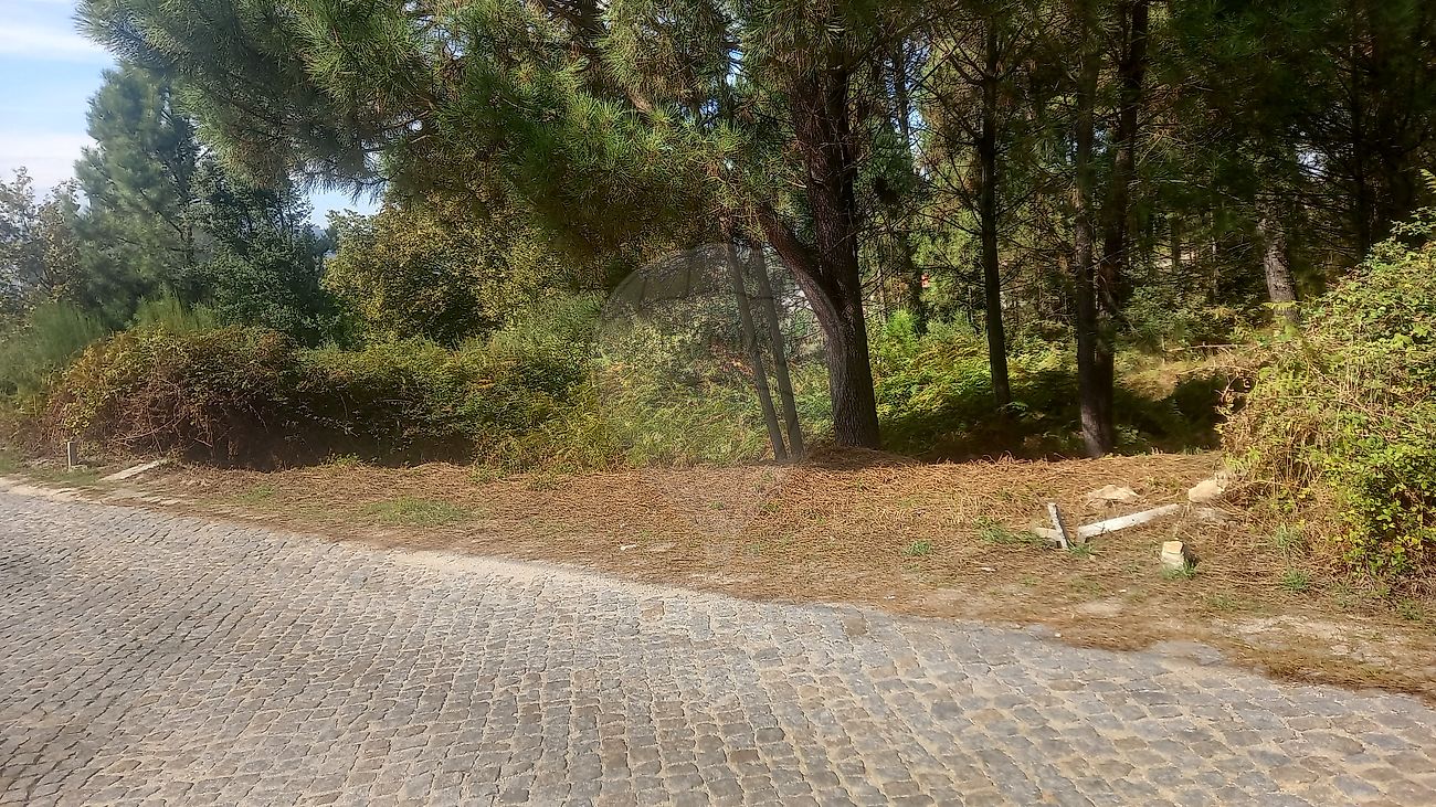 Terreno para venda