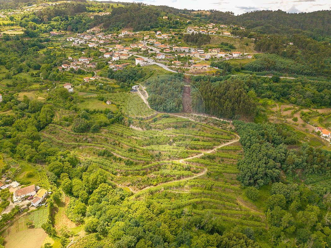 Terreno - Paredes de Viadores e Manhuncelos, Marco de Canaveses, Porto