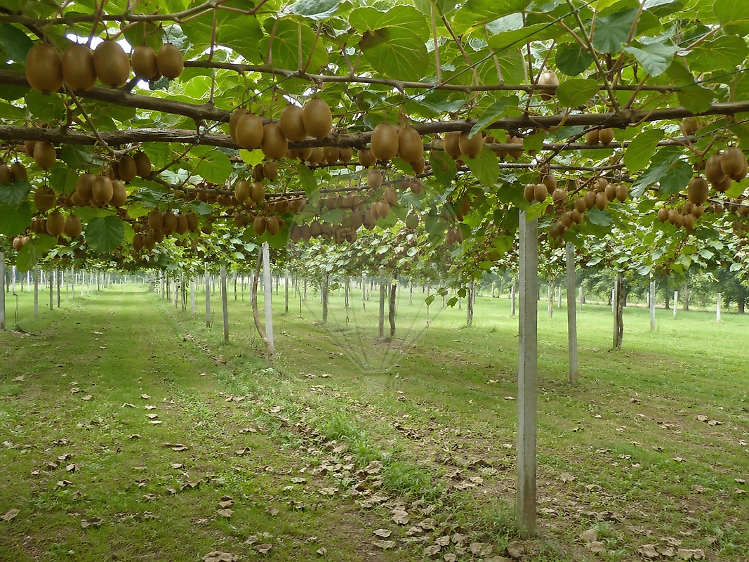 Terreno à venda em Marco de Canaveses