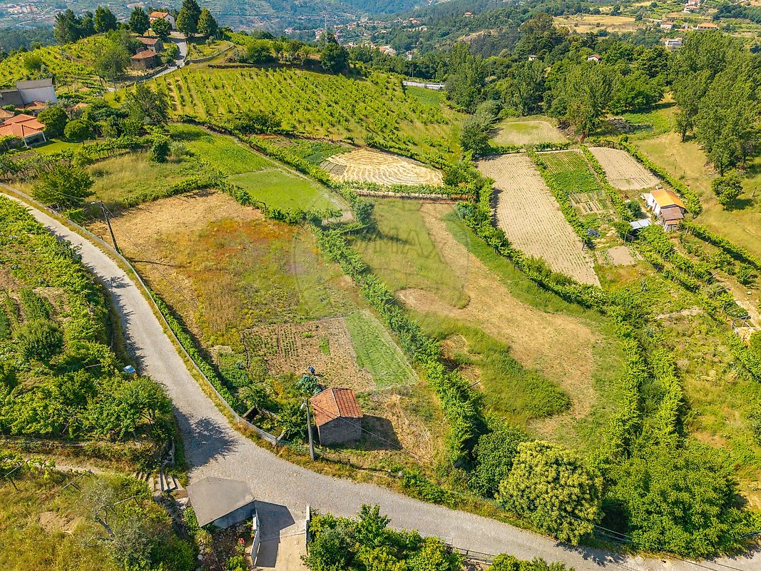 Terreno - Santa Cruz do Douro e São Tomé de Covelas, Baião, Porto