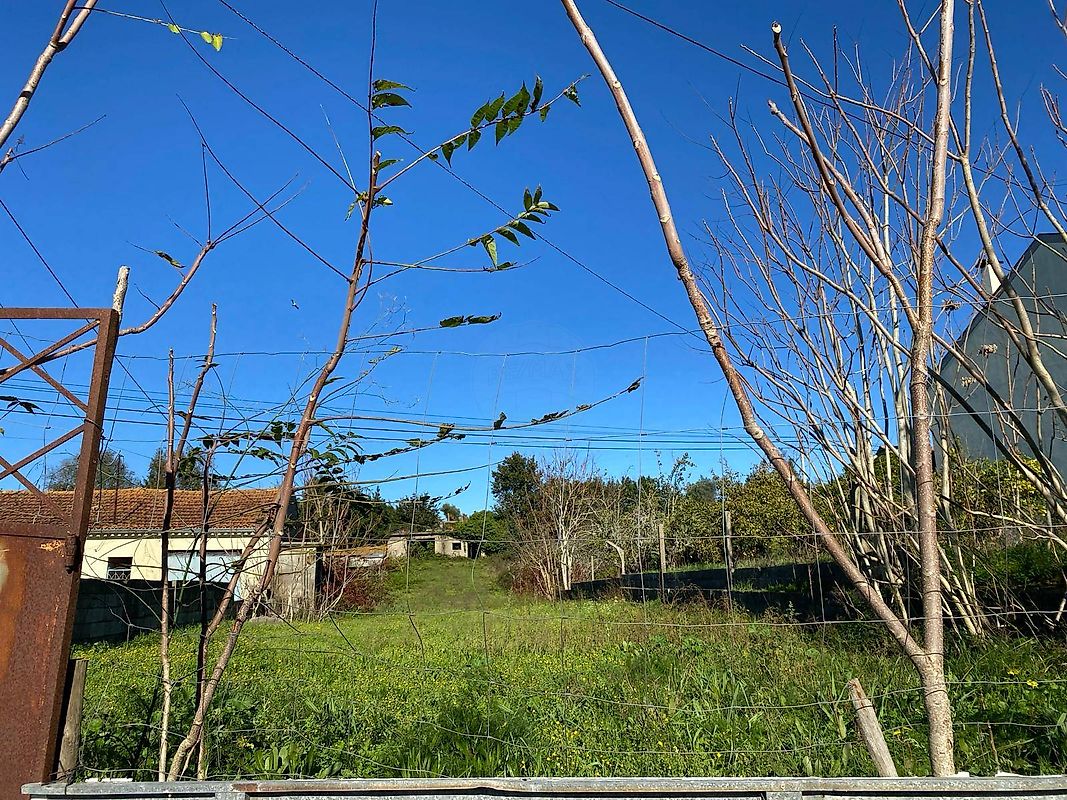 Terreno  à venda em Coimbra