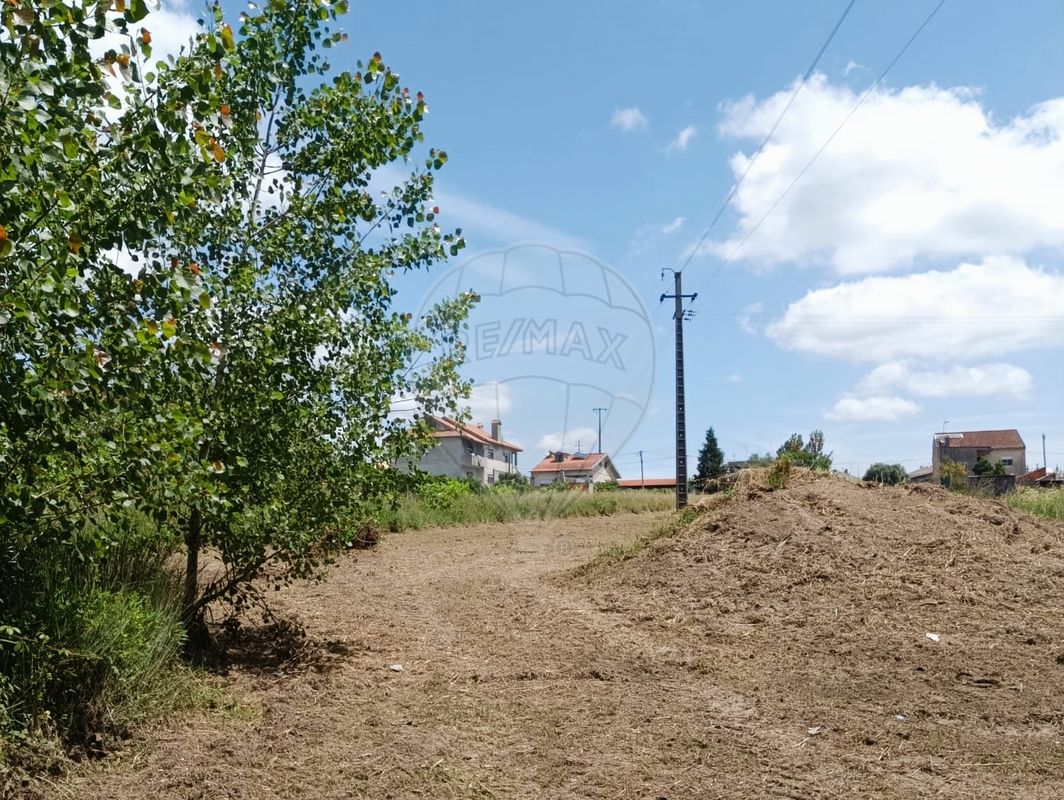 listing 124961054-2 picture-0