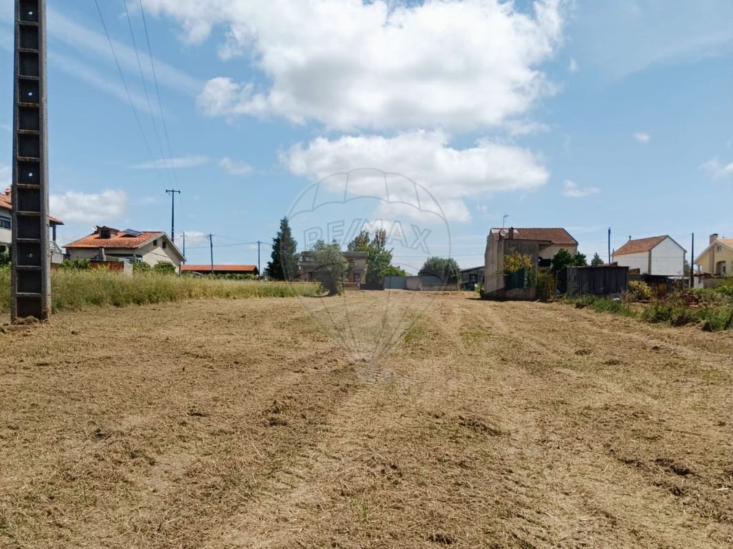 listing 124961054-2 picture-0