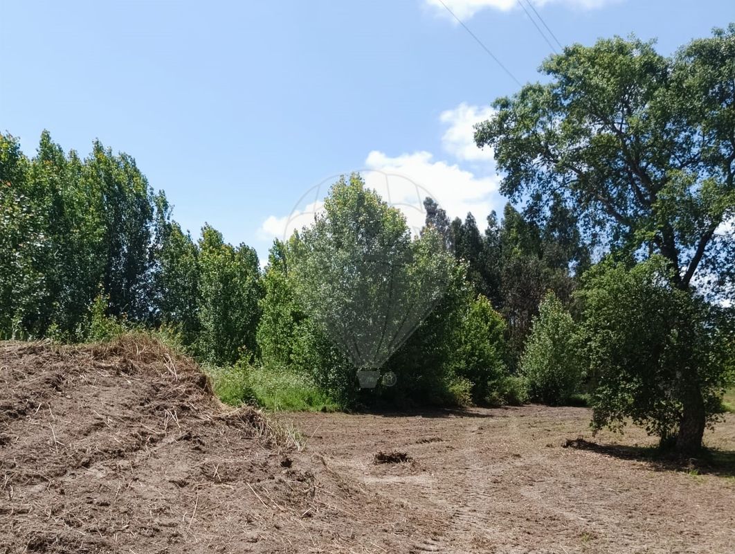 listing 124961054-2 picture-0