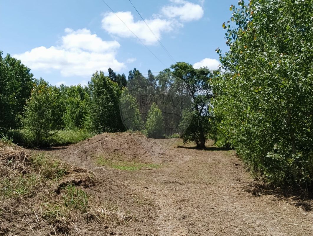 listing 124961054-2 picture-0