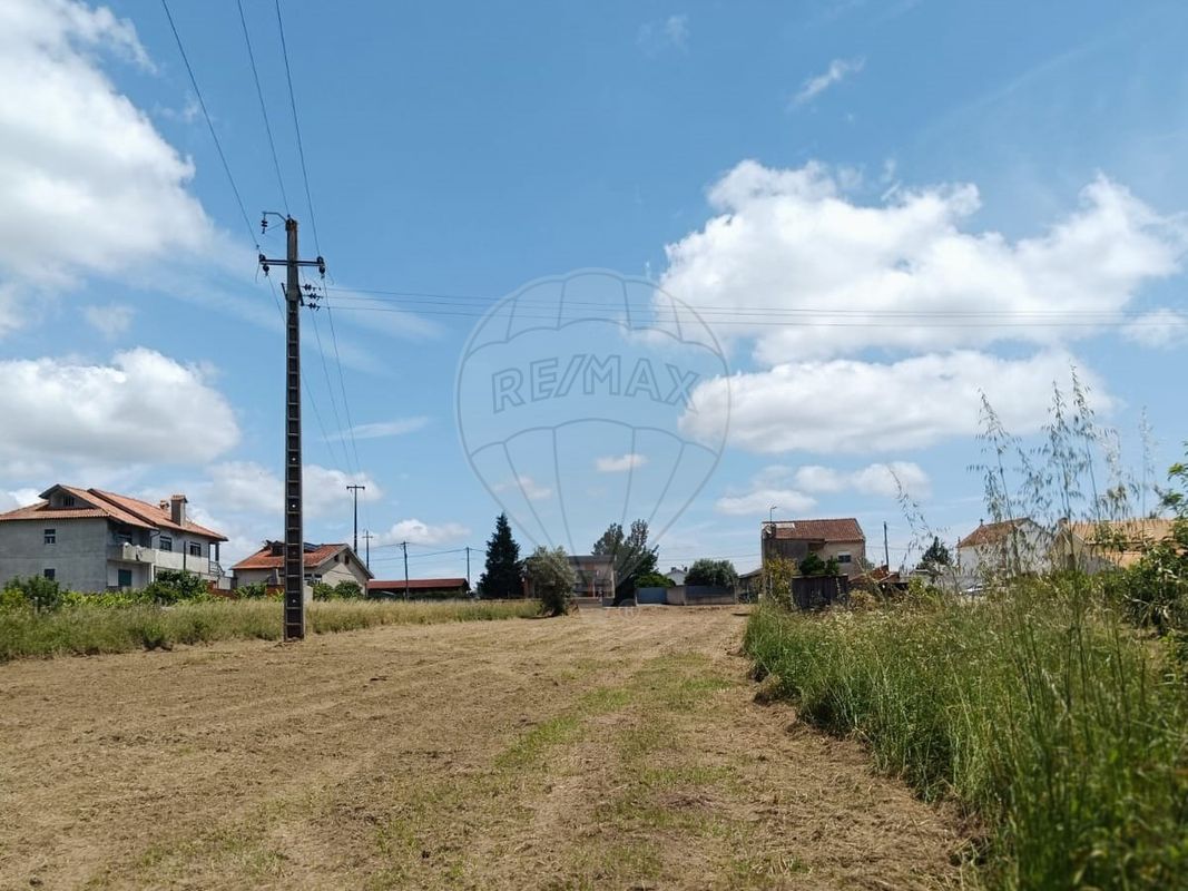 listing 124961054-2 picture-0