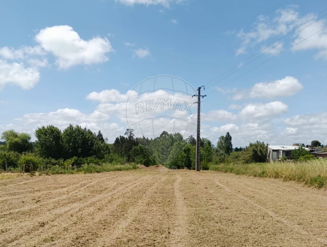 listing 124961054-2 picture-0