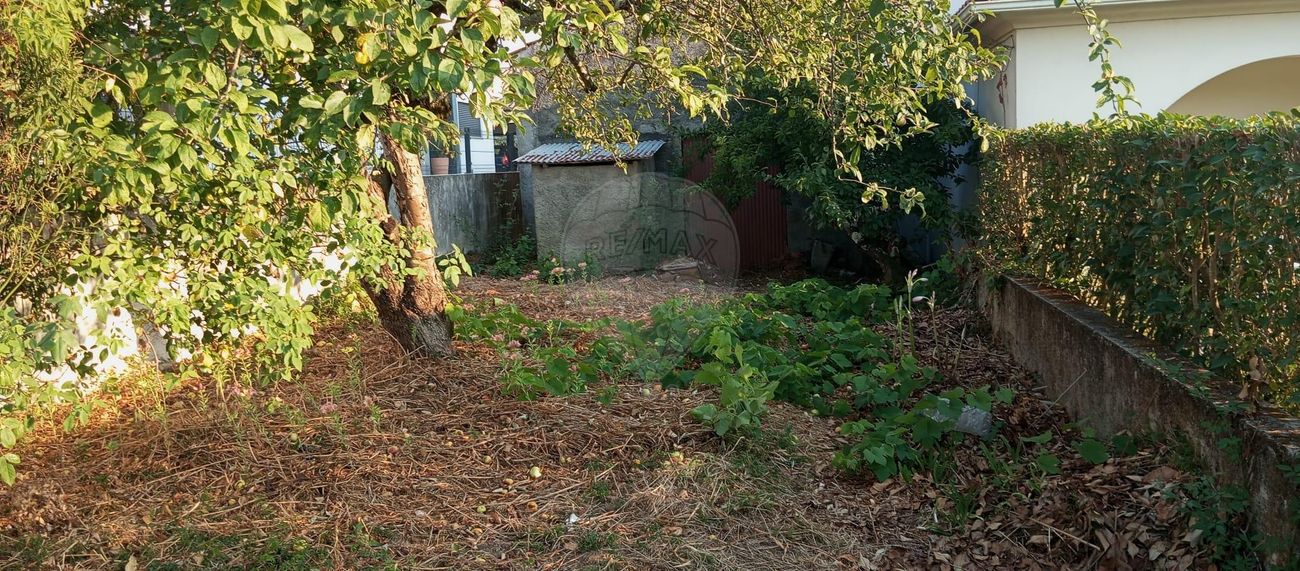 Terreno  para venda