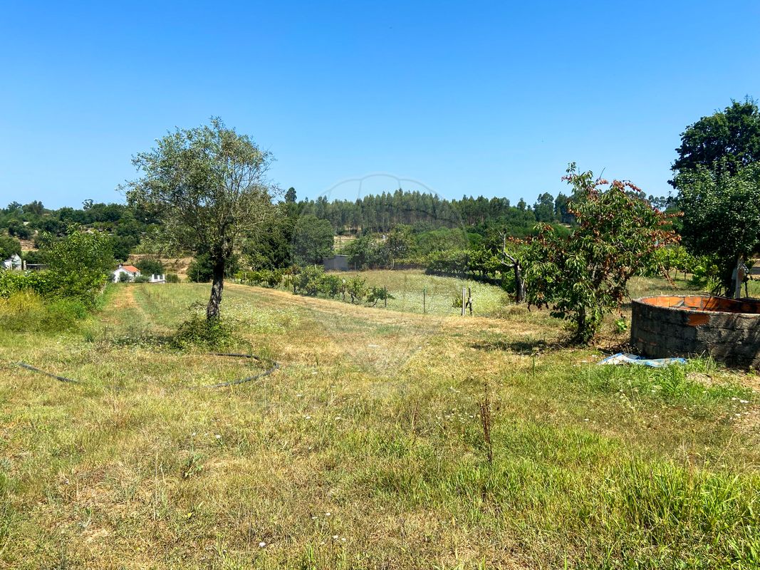 listing 124961047-3 picture-0