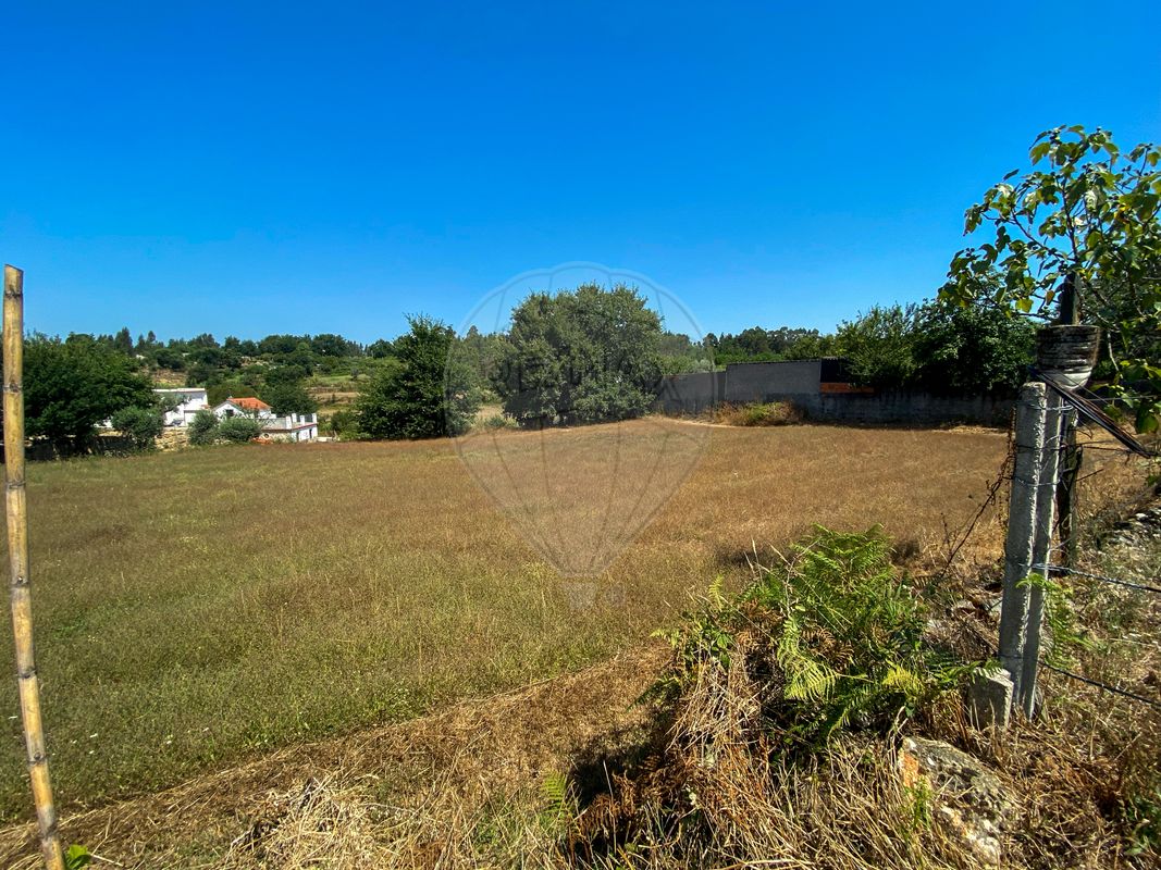listing 124961047-3 picture-0