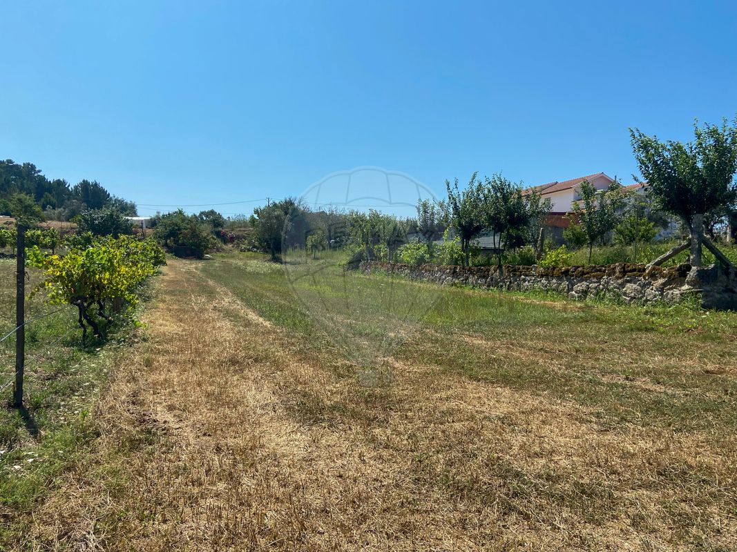 listing 124961047-3 picture-0