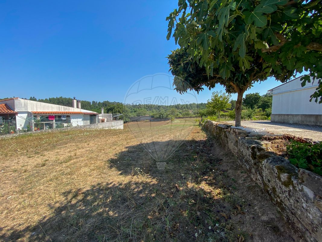 listing 124961047-3 picture-0
