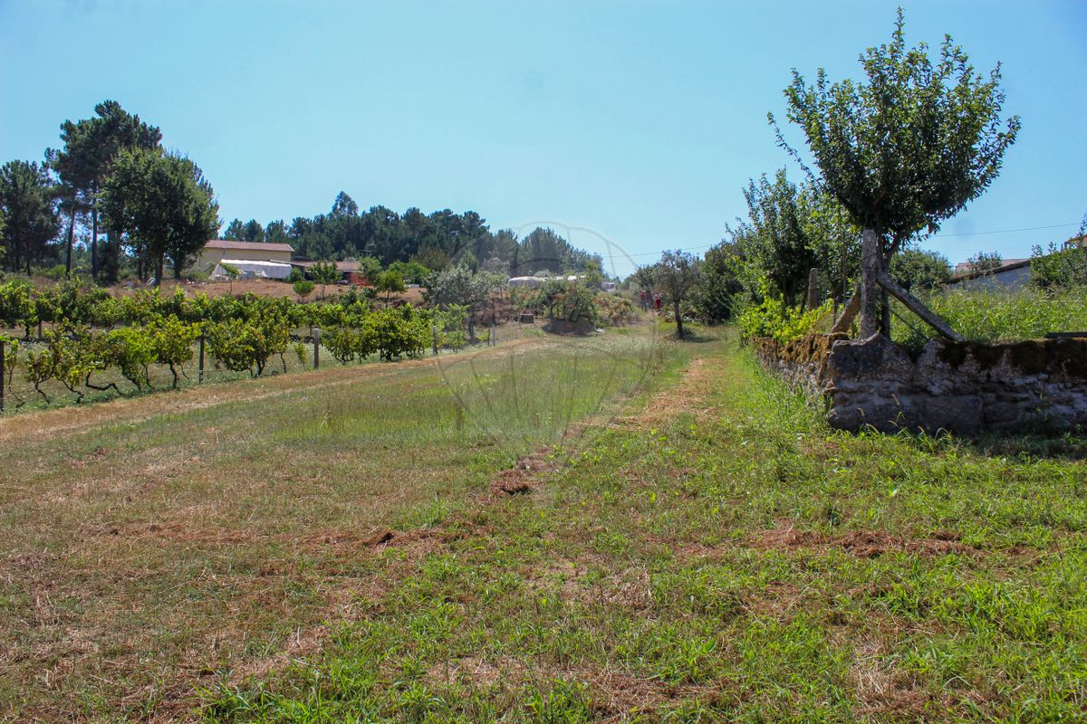 listing 124961047-3 picture-0