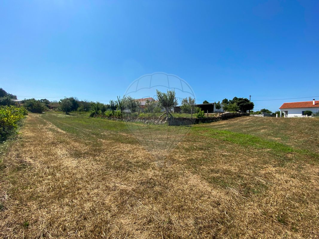 listing 124961047-3 picture-0