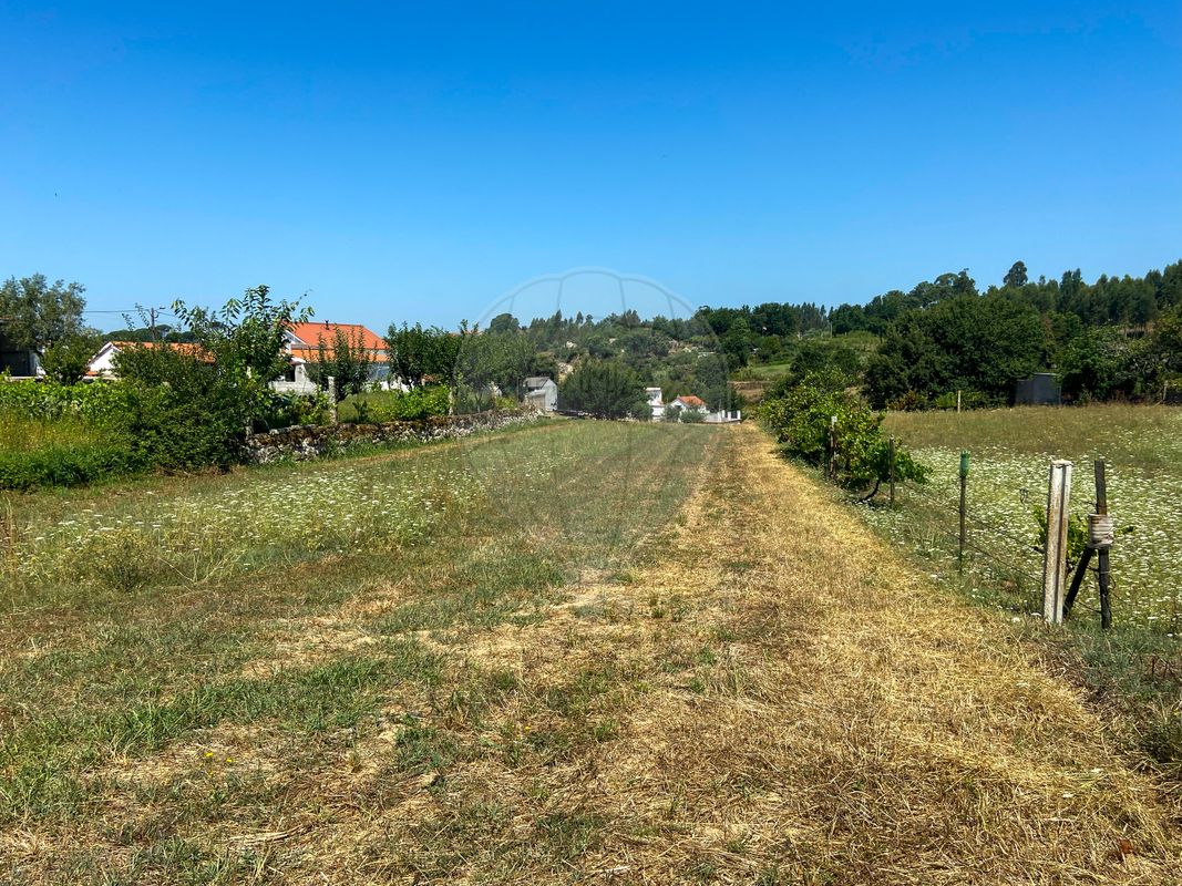 listing 124961047-3 picture-0