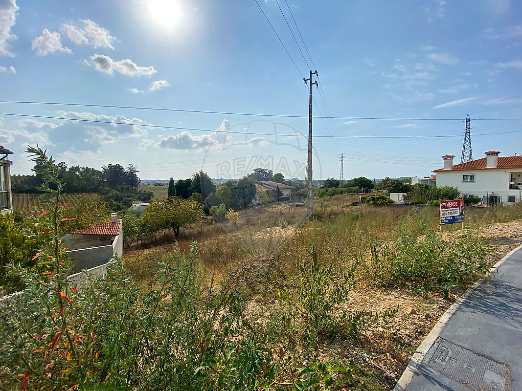 Land for sale in Anadia, Portugal — €110,000