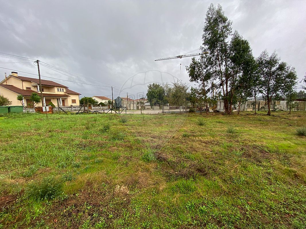 listing 124961050-2 picture-0