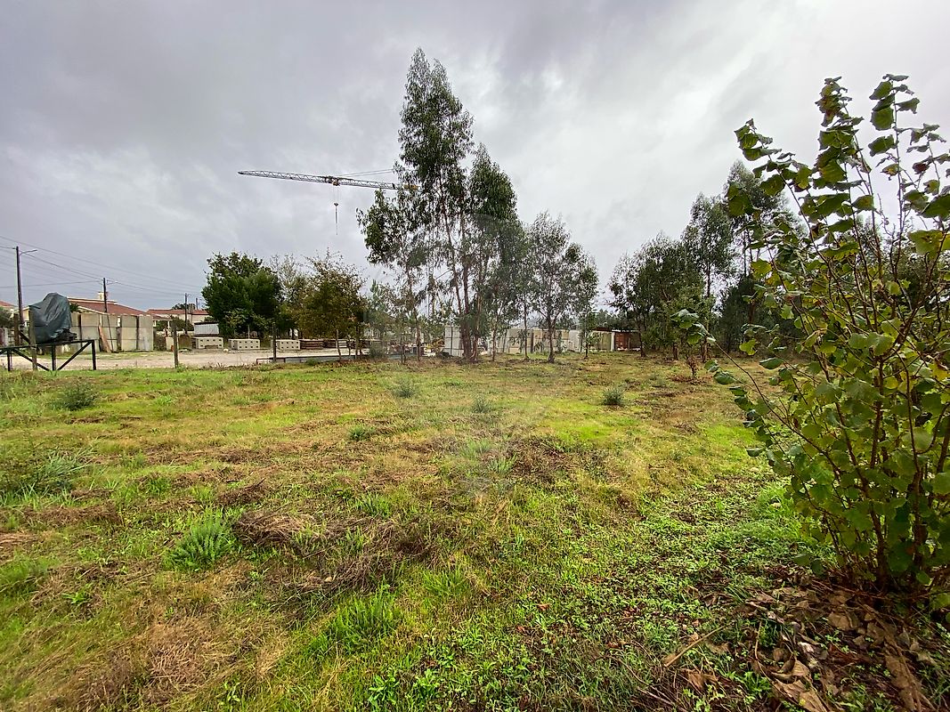 listing 124961050-2 picture-0