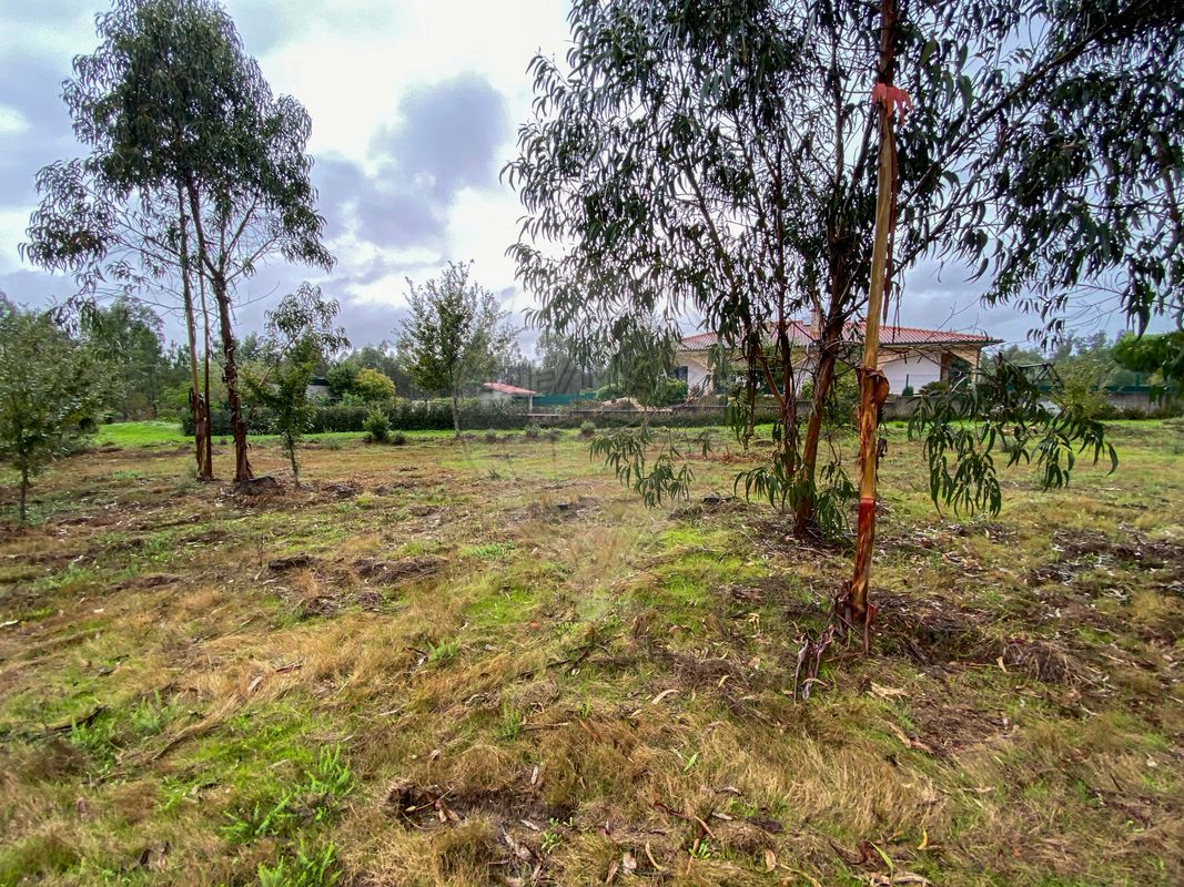 listing 124961050-2 picture-0