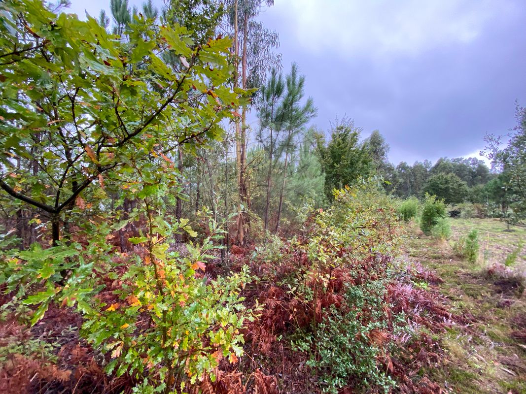 listing 124961050-2 picture-0
