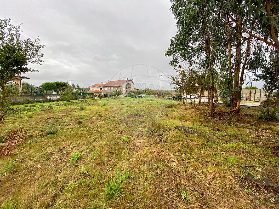 listing 124961050-2 picture-0