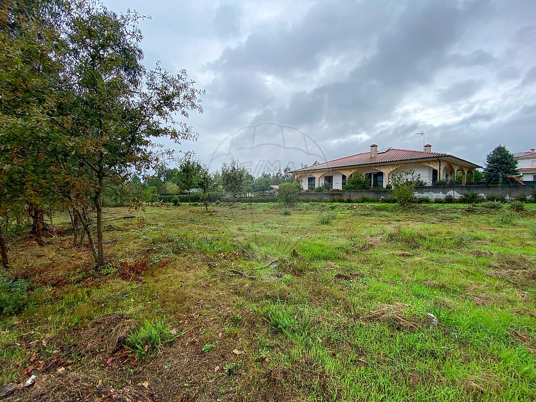 listing 124961050-2 picture-0
