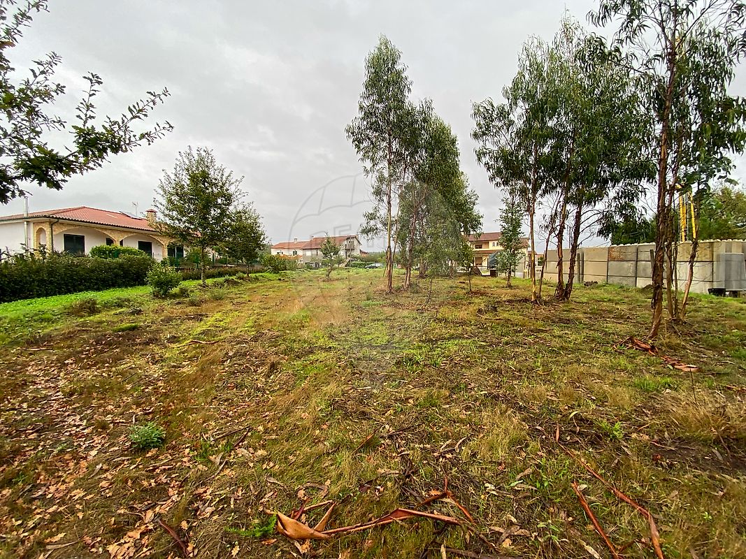 listing 124961050-2 picture-0