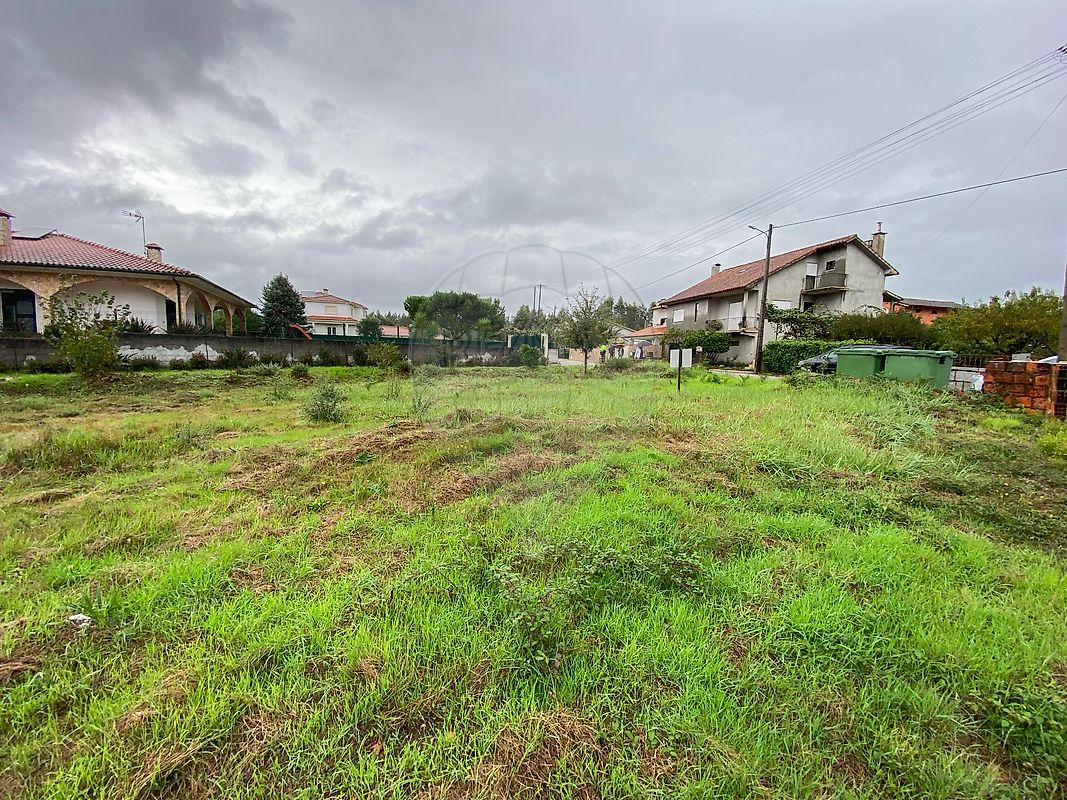 listing 124961050-2 picture-0
