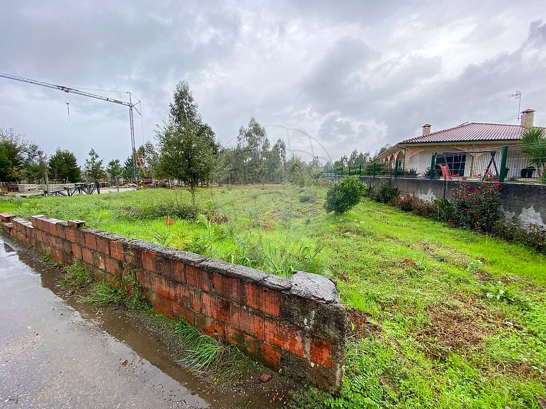 listing 124961050-2 picture-0