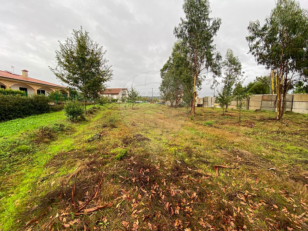 listing 124961050-2 picture-0