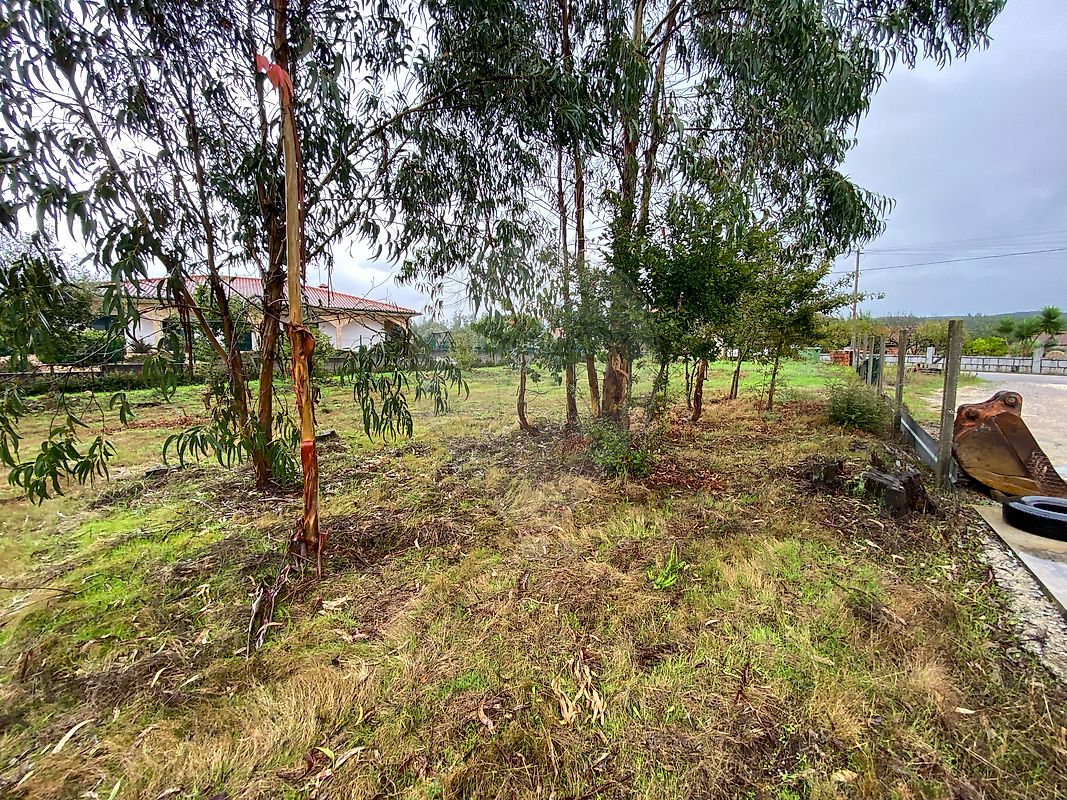 listing 124961050-2 picture-0