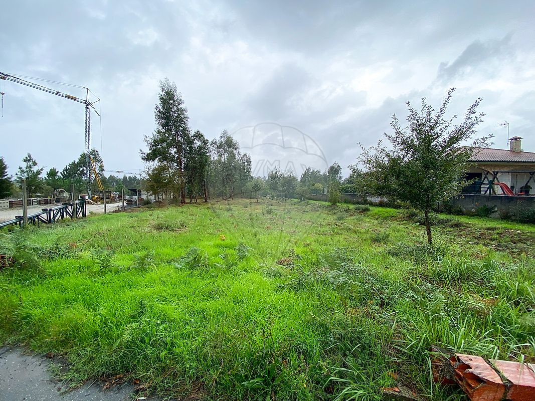 listing 124961050-2 picture-0