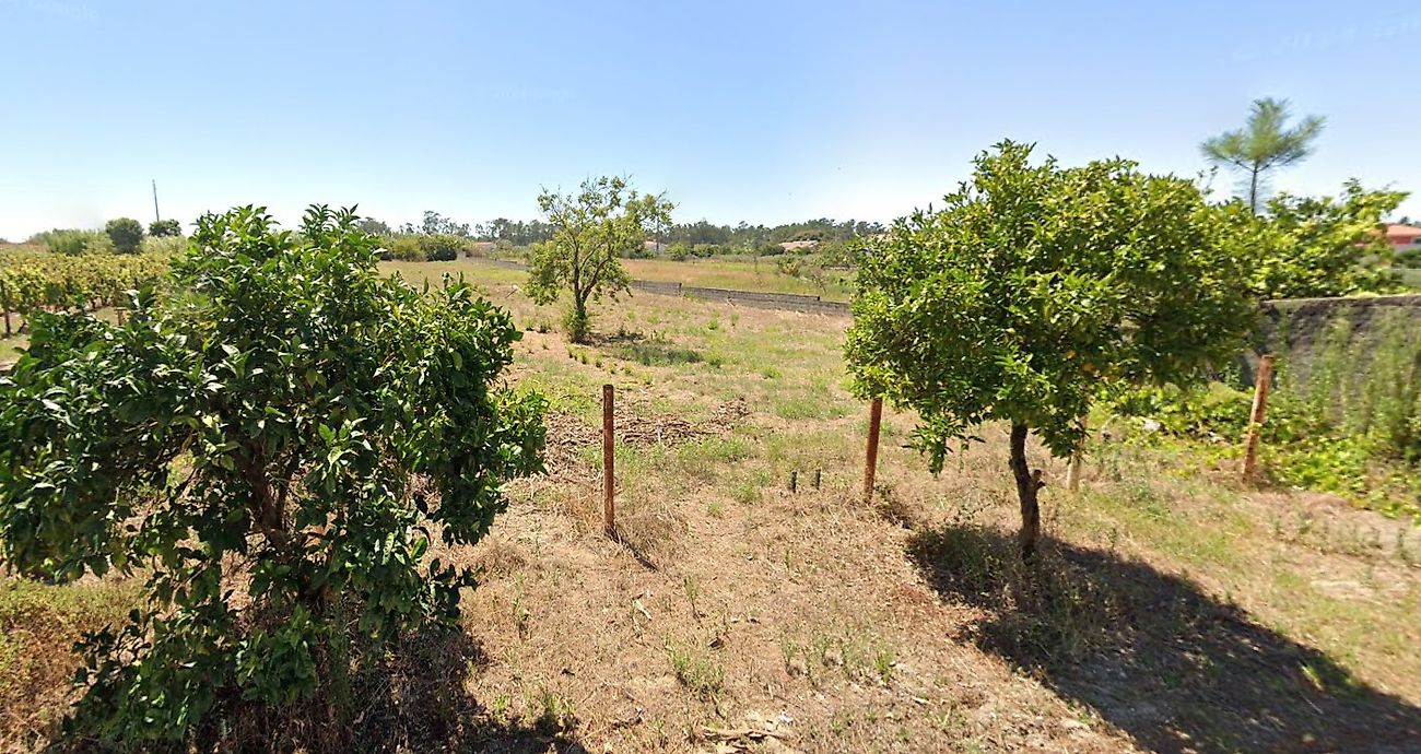Terreno para arrendar em Leiria